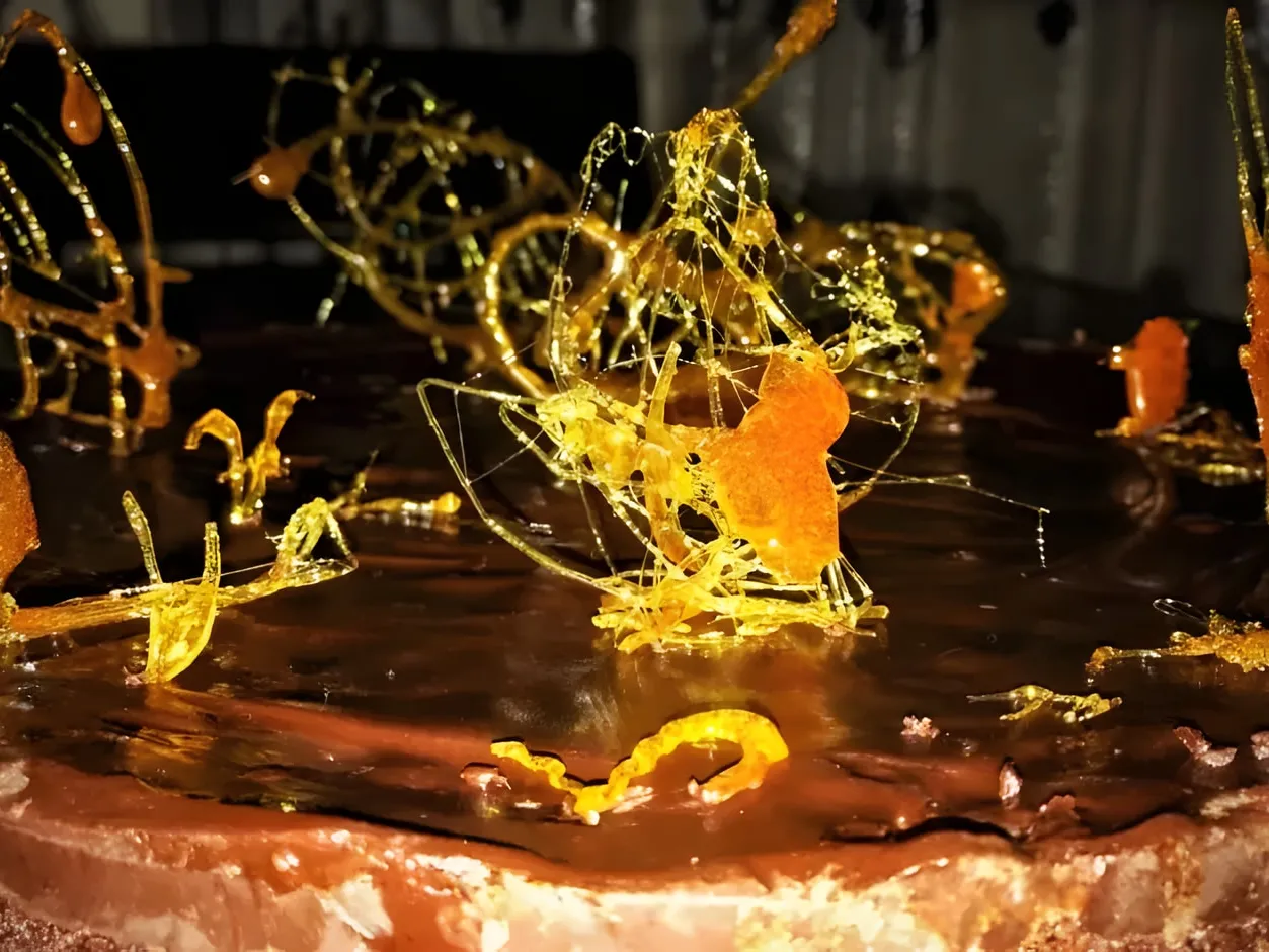 A round brownie cake under a glossy chocolate frosting, topped with amber caramelized sugar shapes and fine sugar threads