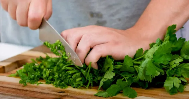 Hands chopping a bunch of flat-leaf parsley very thin with a chef’s knife on a wooden board