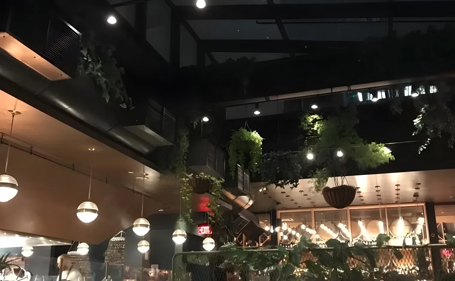 Terra's glass roof at night, with trailing plants, hanging baskets and globe pendant lights above the dining room