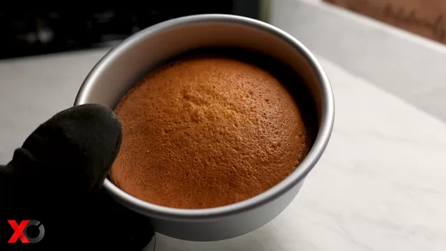 A baked cake, golden brown on top, held in its pan with an oven mitt