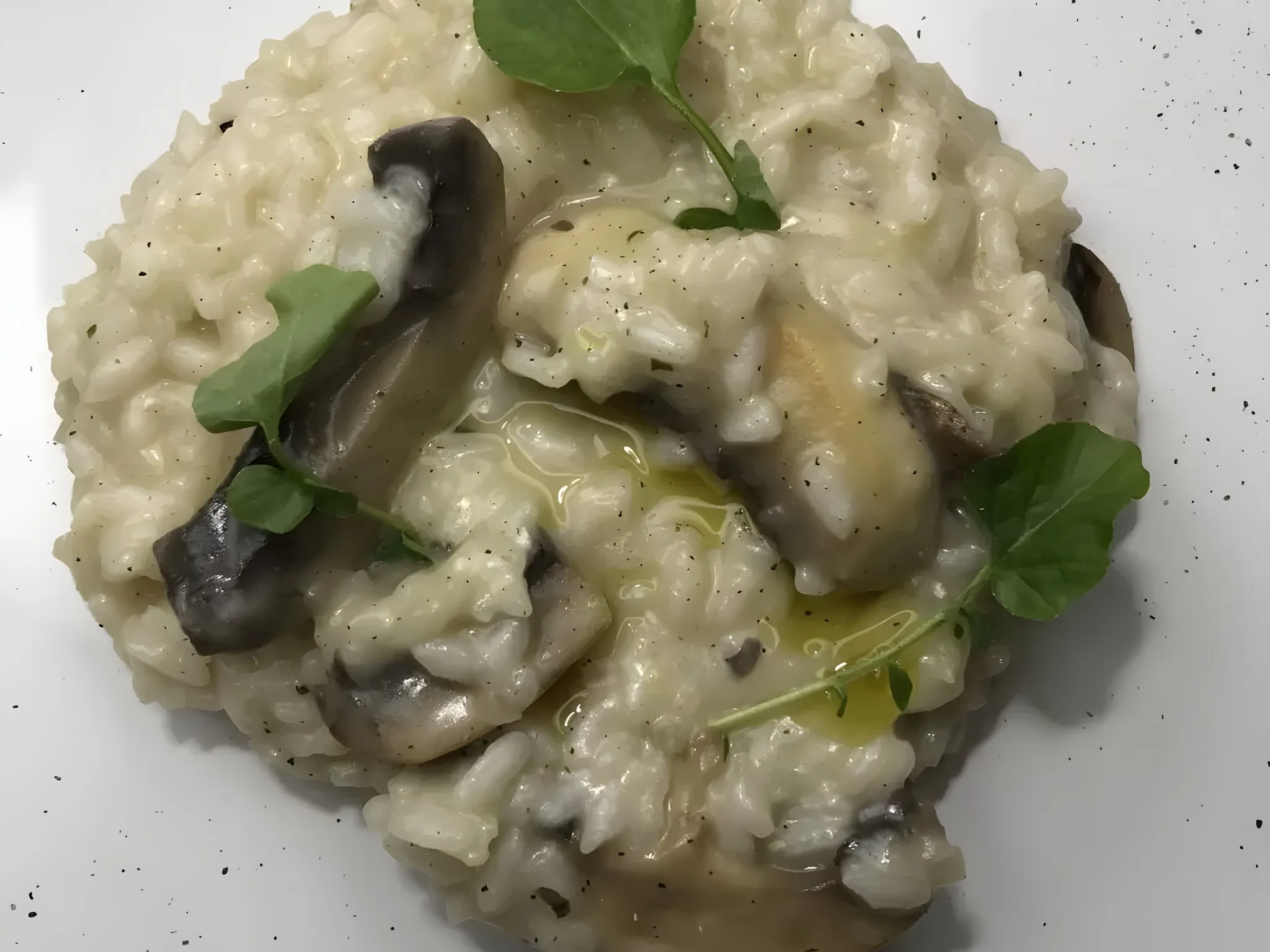 Mushroom risotto on a white speckled plate, with a drizzle of oil and a few small green leaves on top
