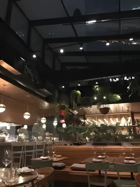 Terra’s dining room at night under its glass roof, with hanging plants, globe pendant lights and tables set with wine glasses