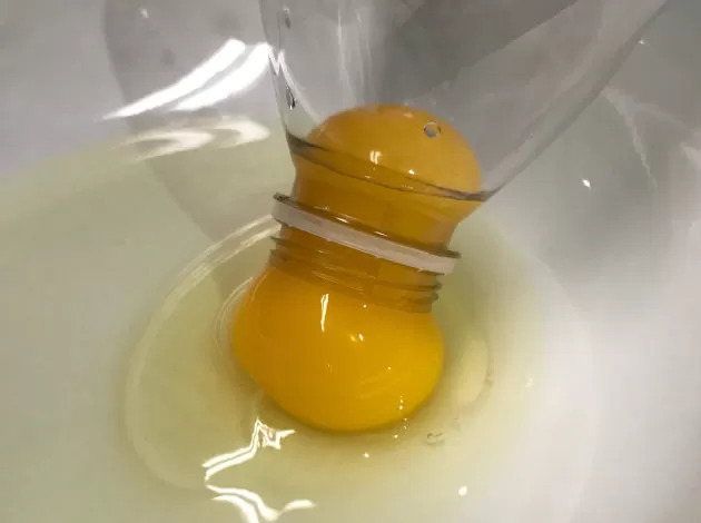 How to Separate Egg yolks from Egg Whites