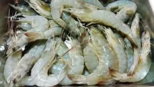 How to make Shrimps Baked with Salt